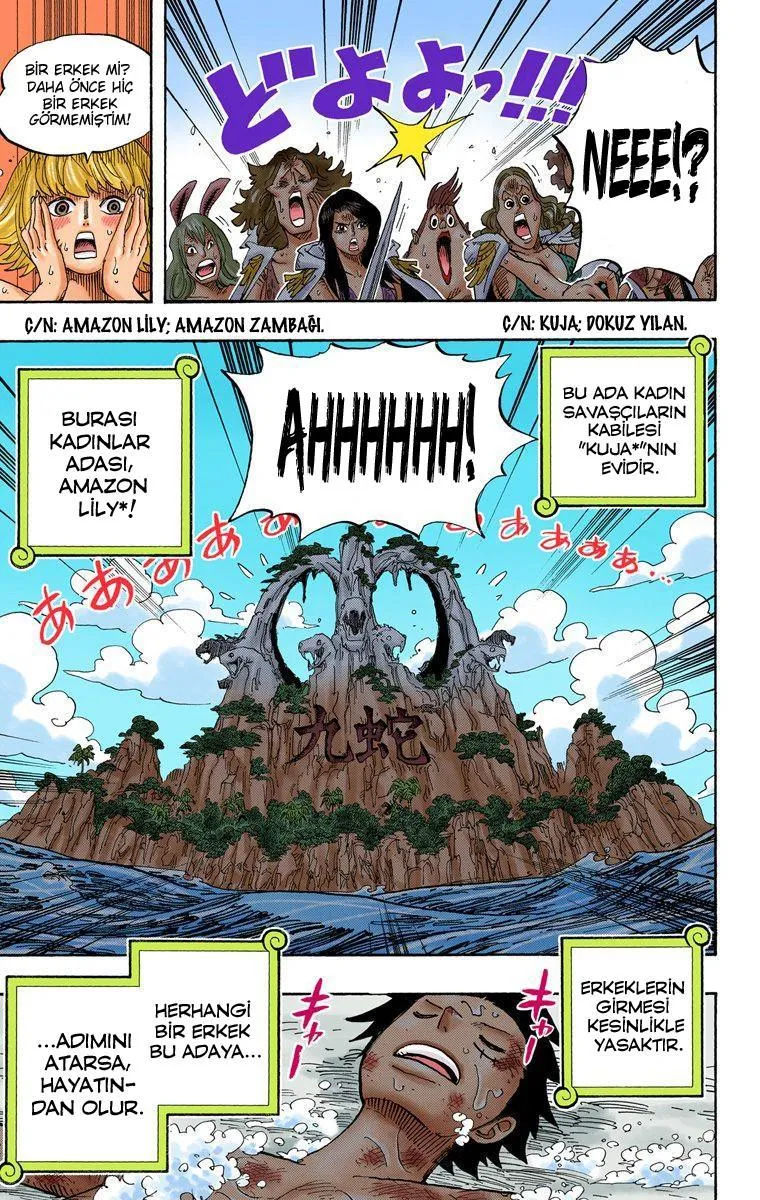 One Piece [Renkli] - Sayfa 20