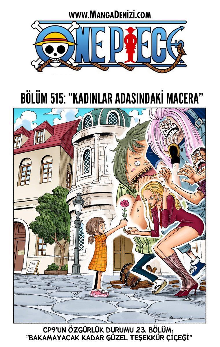 One Piece [Renkli] mangasının 0515 bölümünün 2. sayfasını okuyorsunuz.