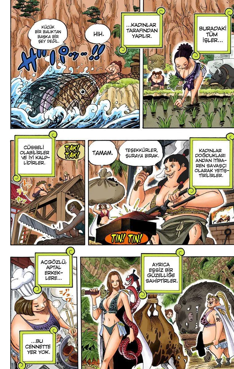 One Piece [Renkli] - Sayfa 4