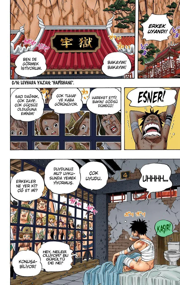 One Piece [Renkli] - Sayfa 6