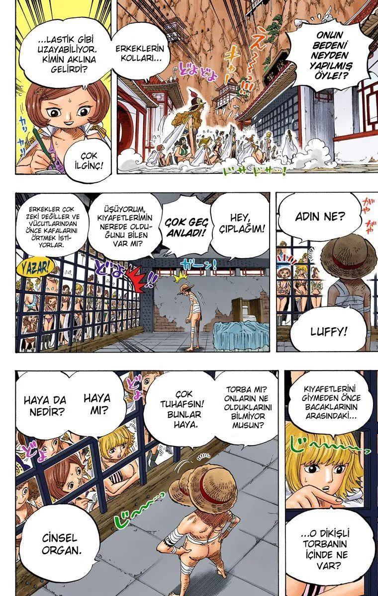 One Piece [Renkli] - Sayfa 8