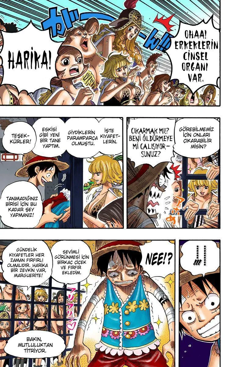 One Piece [Renkli] - Sayfa 9