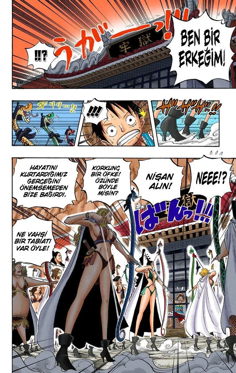 One Piece [Renkli] - Sayfa 10