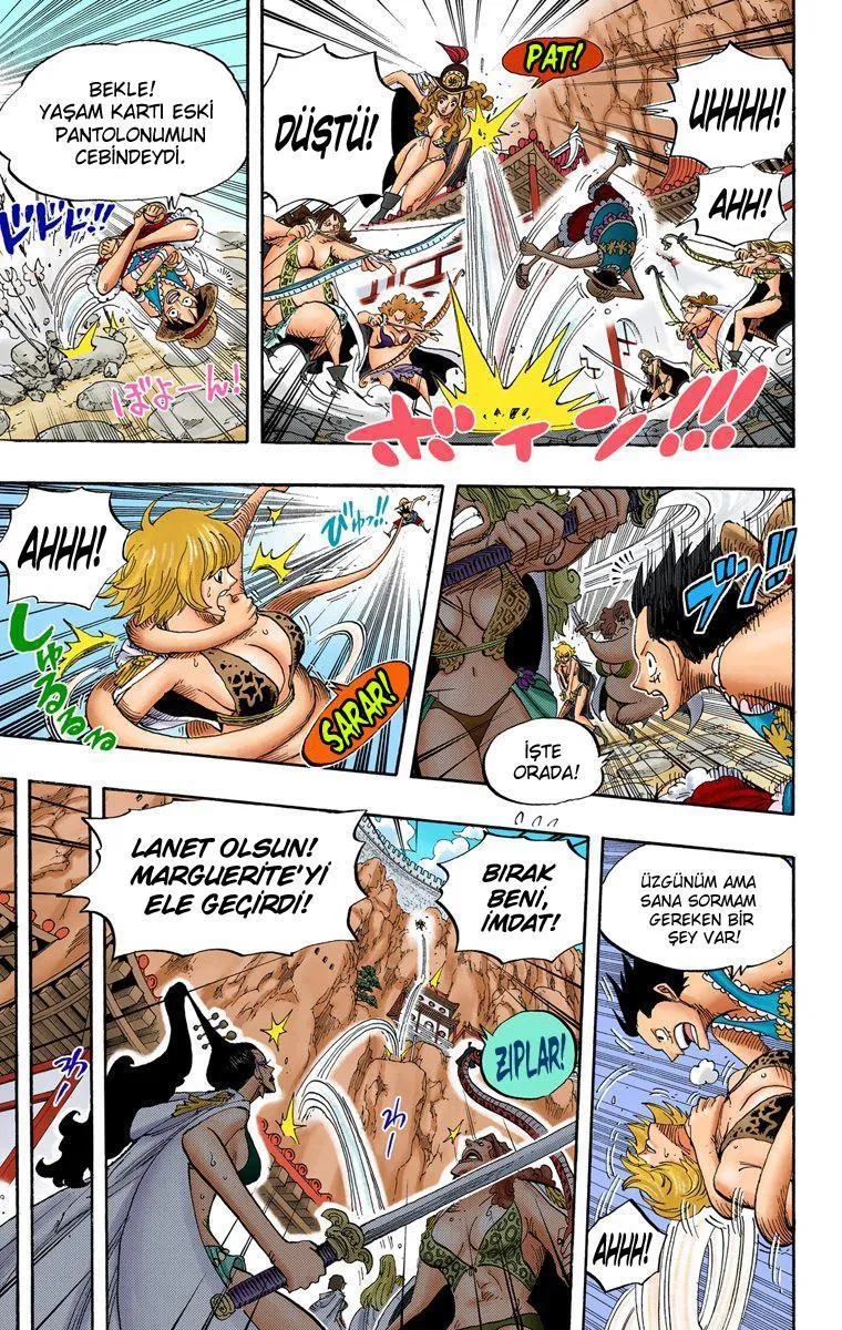 One Piece [Renkli] - Sayfa 15