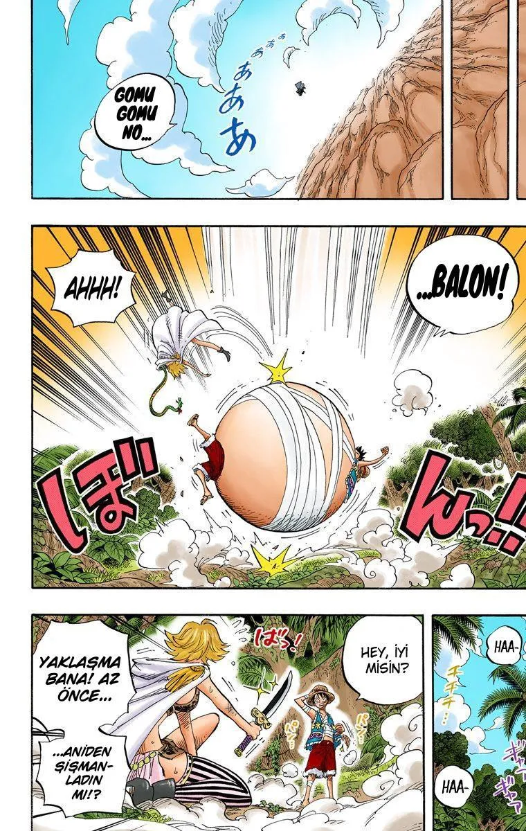 One Piece [Renkli] - Sayfa 16