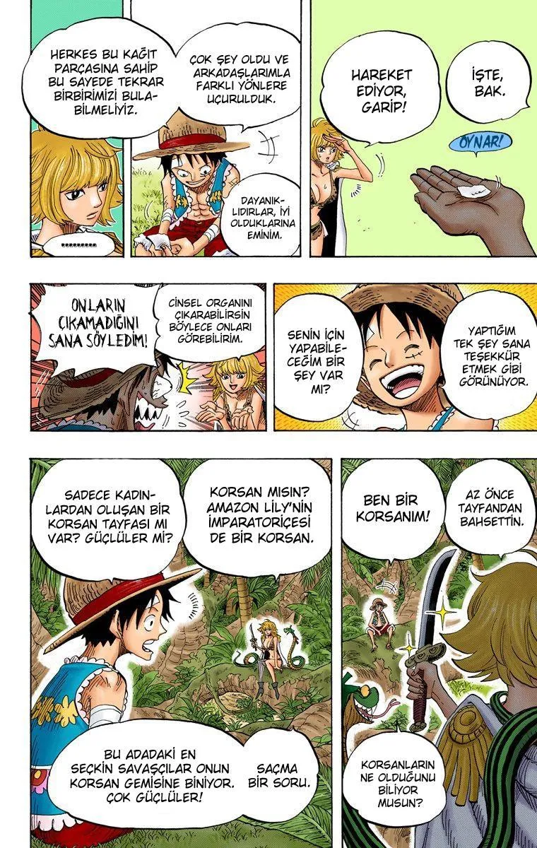 One Piece [Renkli] - Sayfa 18