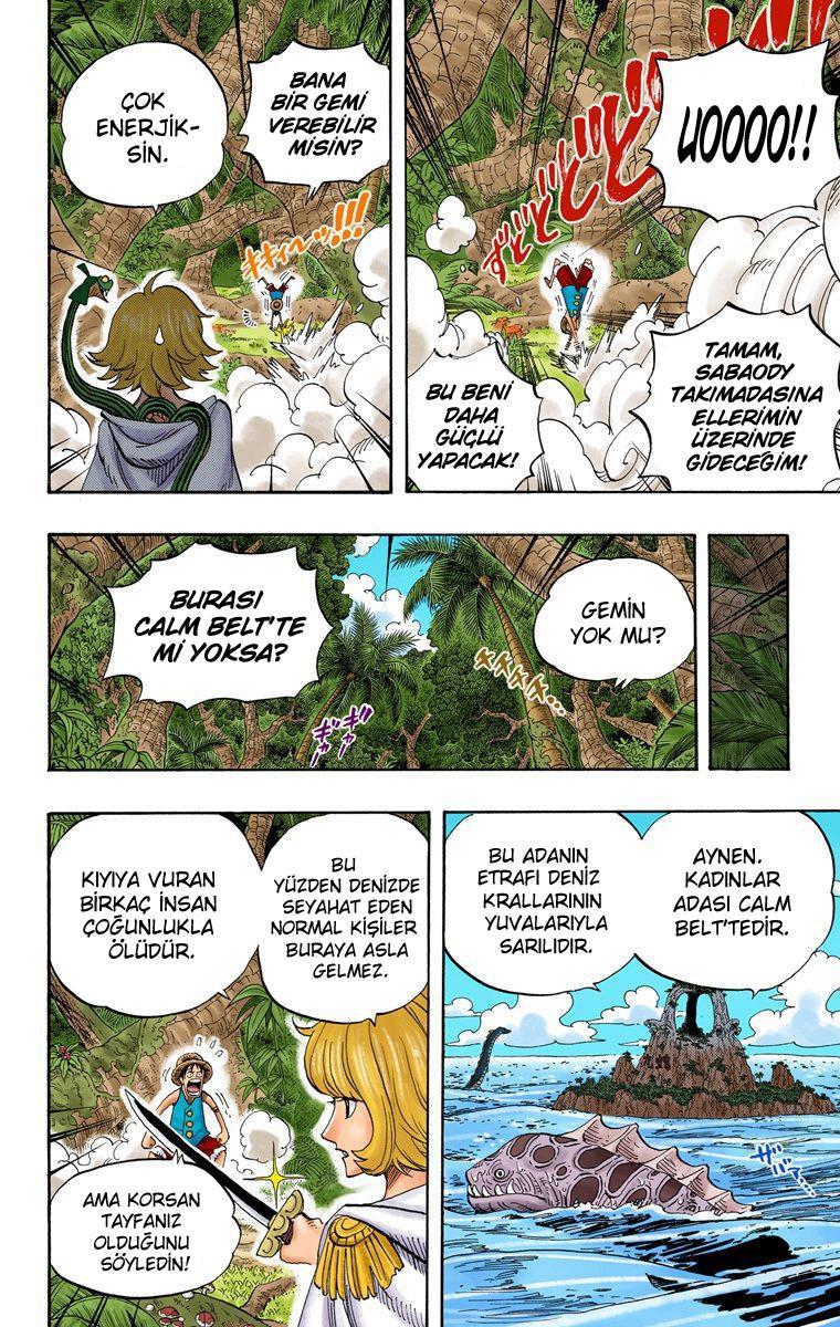 One Piece [Renkli] mangasının 0516 bölümünün 4. sayfasını okuyorsunuz.