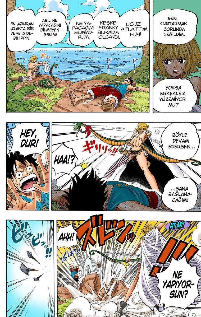 One Piece [Renkli] - Sayfa 6