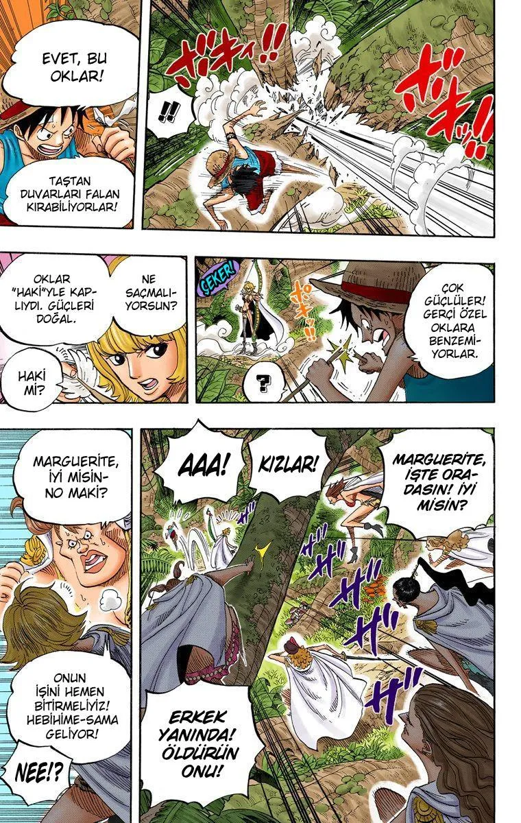 One Piece [Renkli] - Sayfa 7