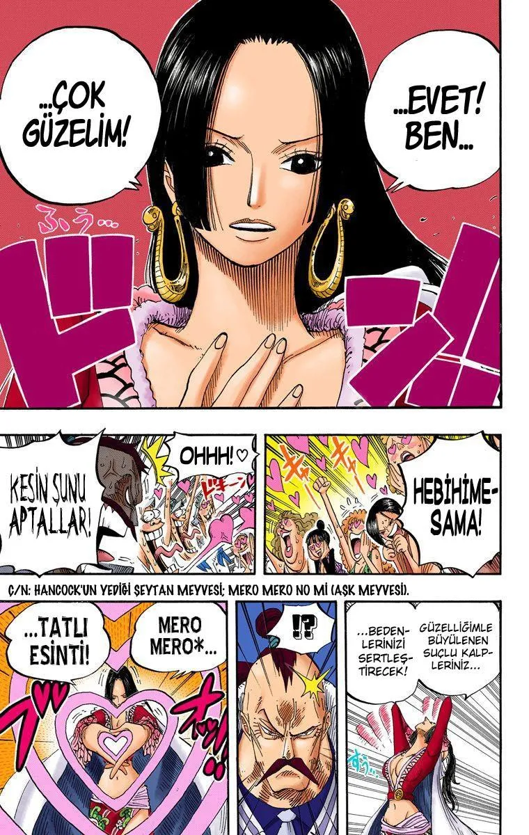 One Piece [Renkli] - Sayfa 16