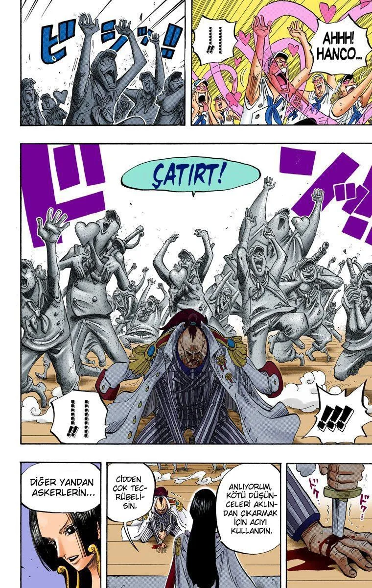 One Piece [Renkli] - Sayfa 17