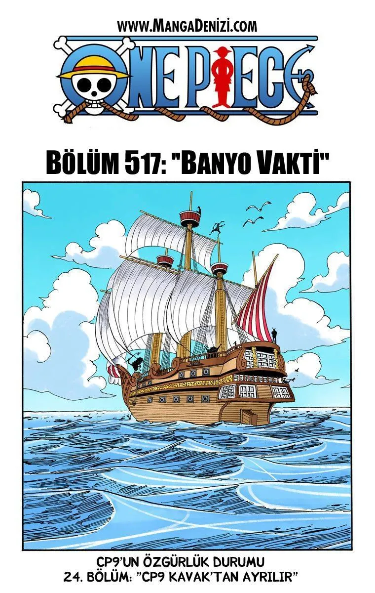 One Piece [Renkli] - Sayfa 2