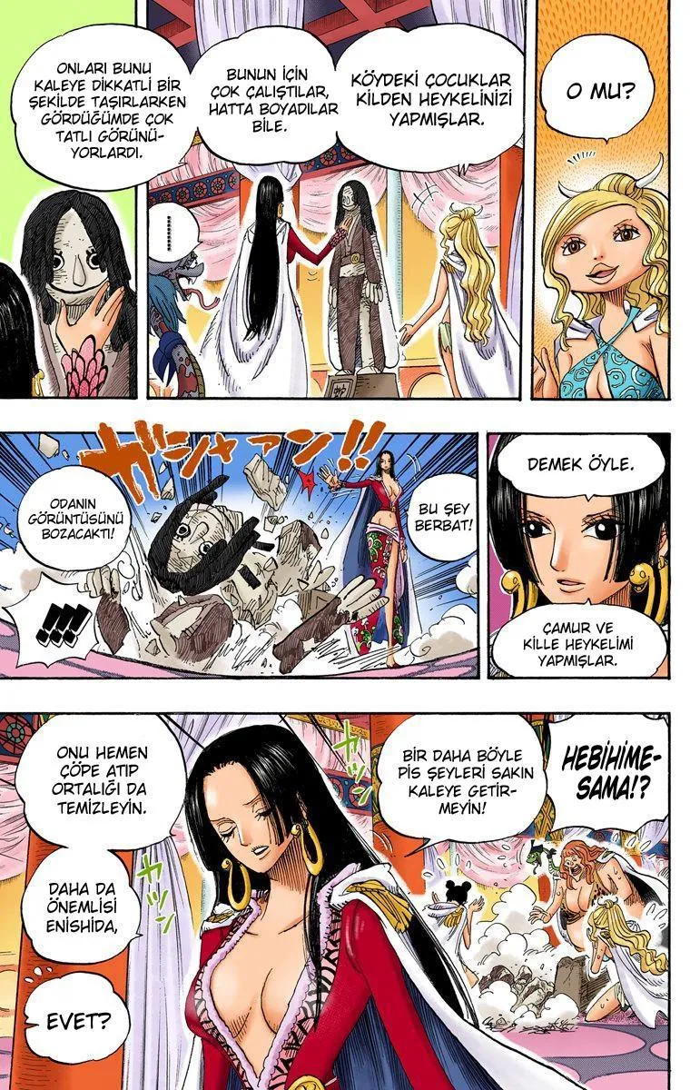 One Piece [Renkli] - Sayfa 6