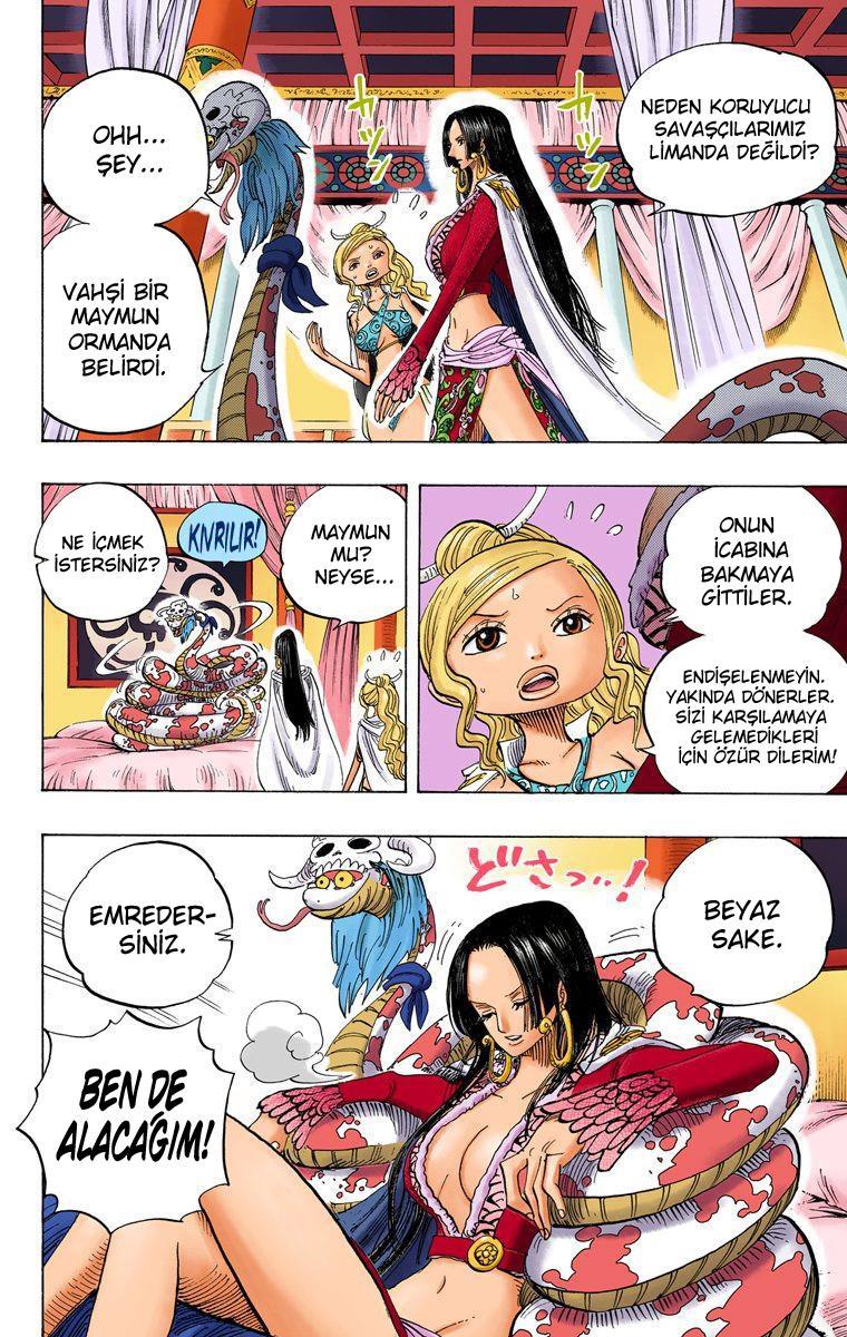 One Piece [Renkli] mangasının 0517 bölümünün 7. sayfasını okuyorsunuz.