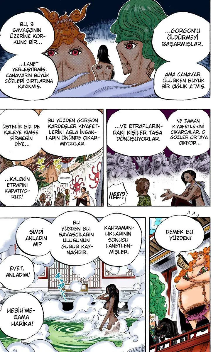 One Piece [Renkli] - Sayfa 16