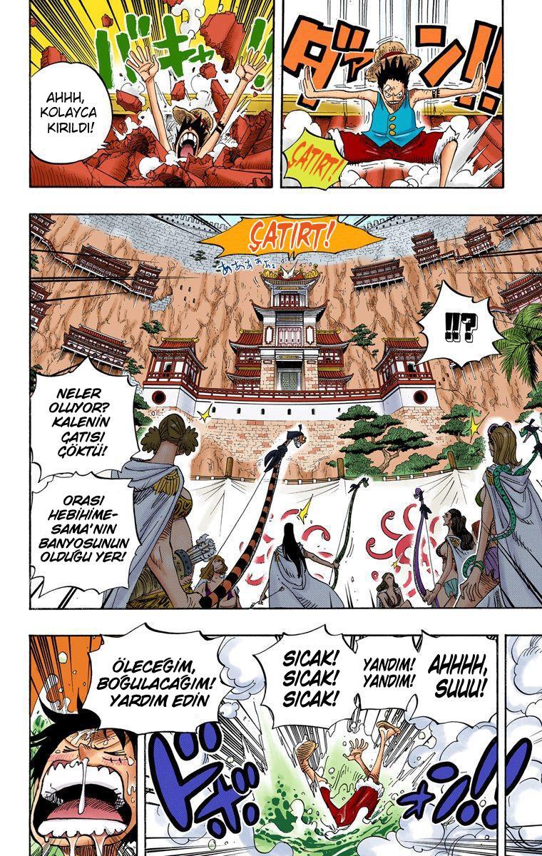 One Piece [Renkli] mangasının 0517 bölümünün 19. sayfasını okuyorsunuz.