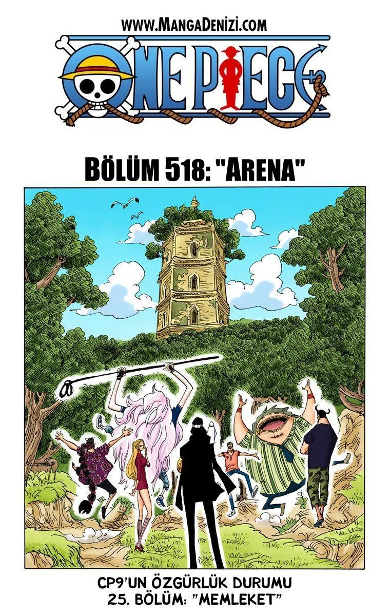 One Piece [Renkli] - Sayfa 2