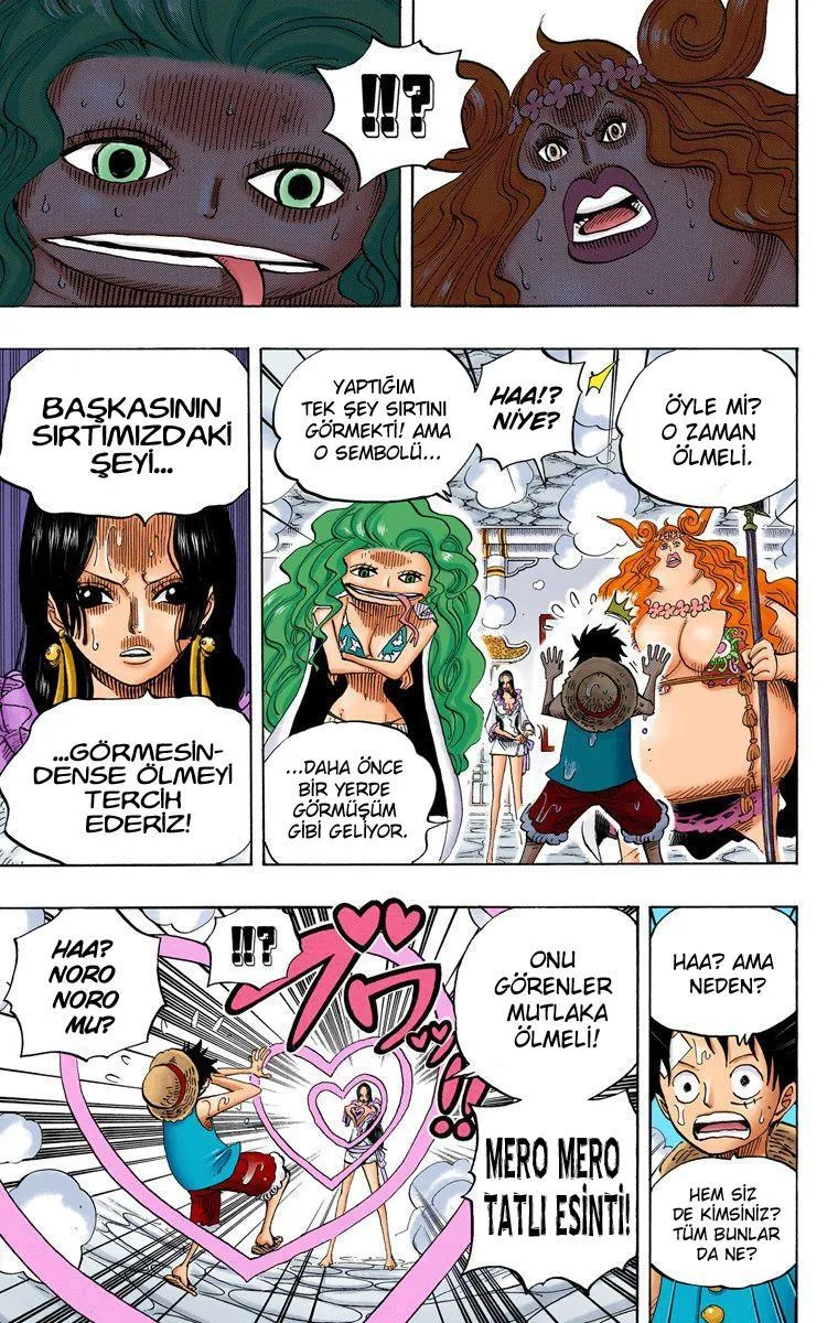 One Piece [Renkli] - Sayfa 4