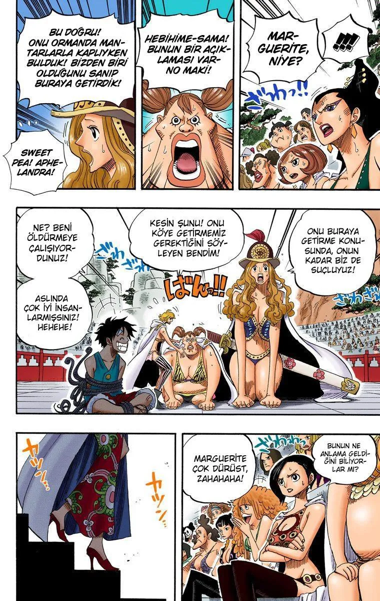 One Piece [Renkli] - Sayfa 11