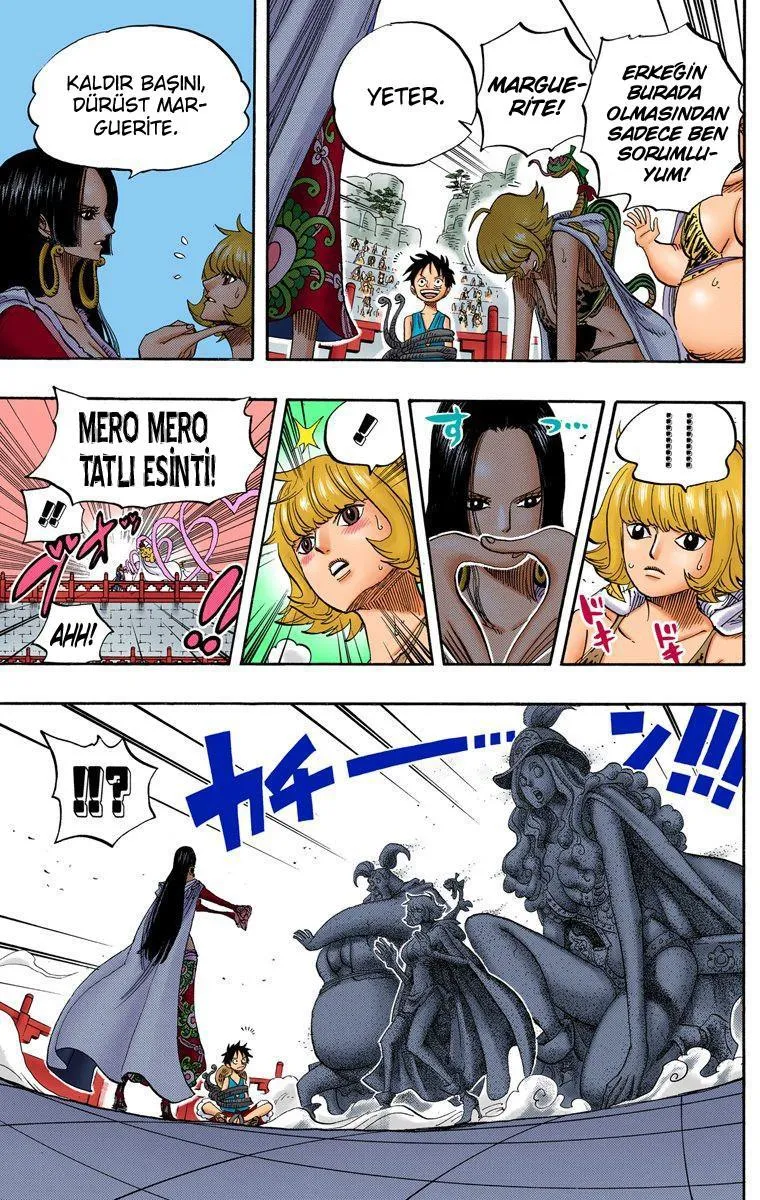 One Piece [Renkli] - Sayfa 12