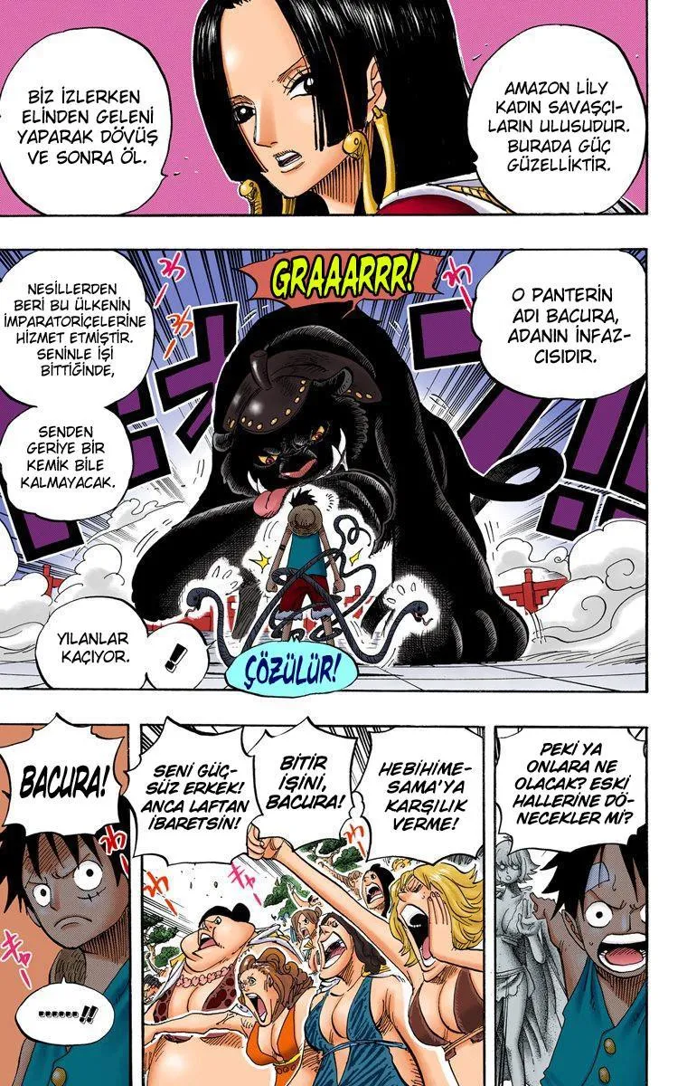 One Piece [Renkli] - Sayfa 14