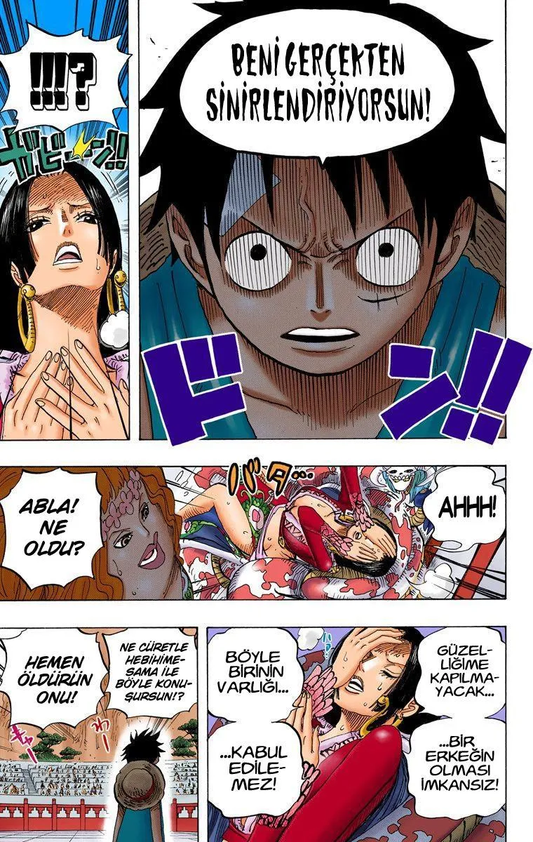 One Piece [Renkli] - Sayfa 18