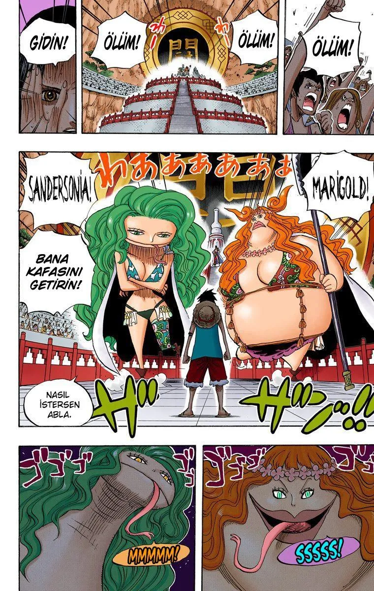 One Piece [Renkli] - Sayfa 19