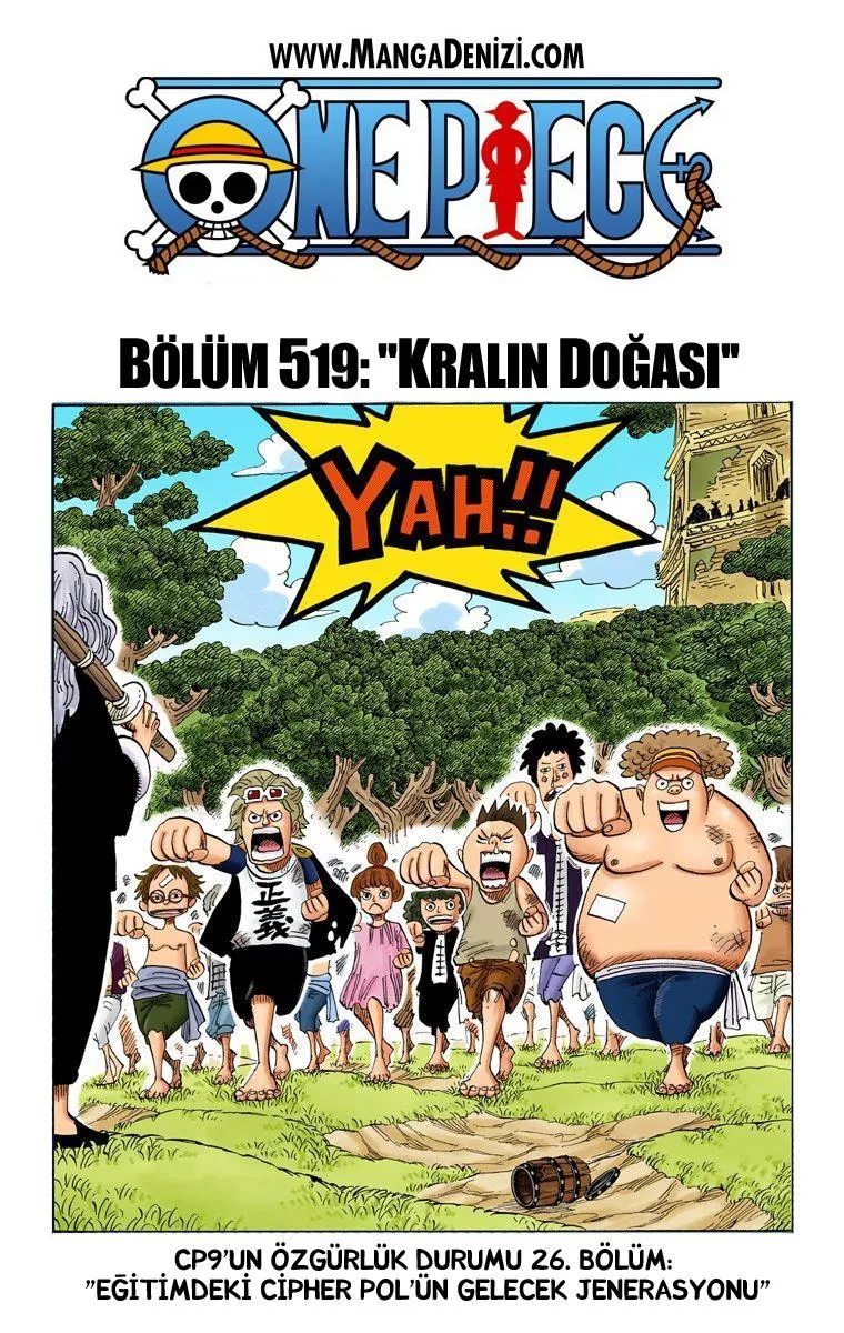 One Piece [Renkli] - Sayfa 2