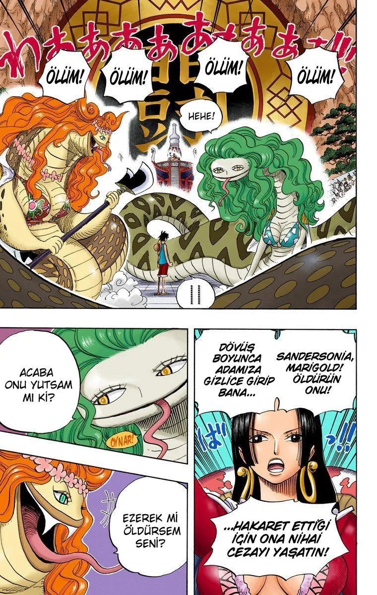 One Piece [Renkli] - Sayfa 4