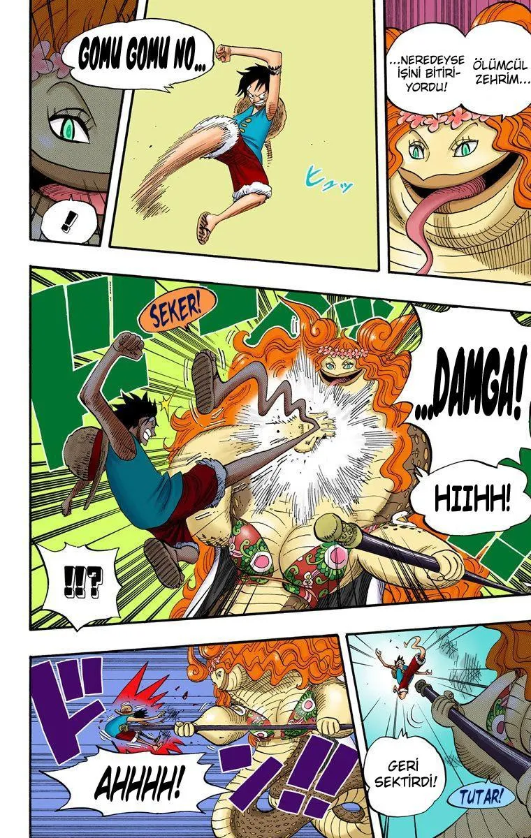 One Piece [Renkli] - Sayfa 9