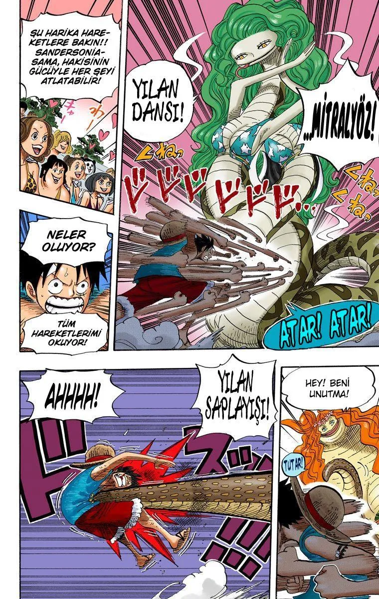 One Piece [Renkli] - Sayfa 13