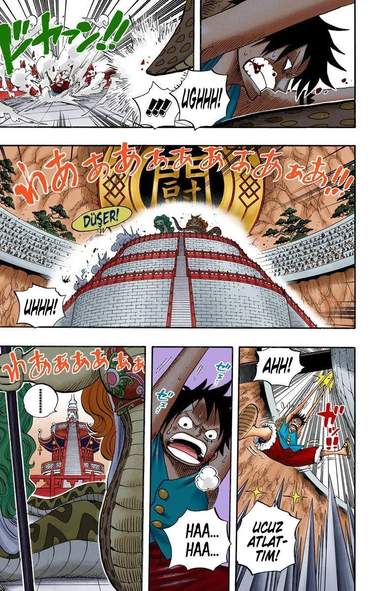 One Piece [Renkli] - Sayfa 14