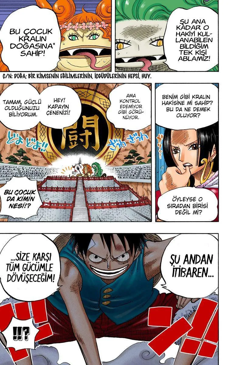 One Piece [Renkli] - Sayfa 20
