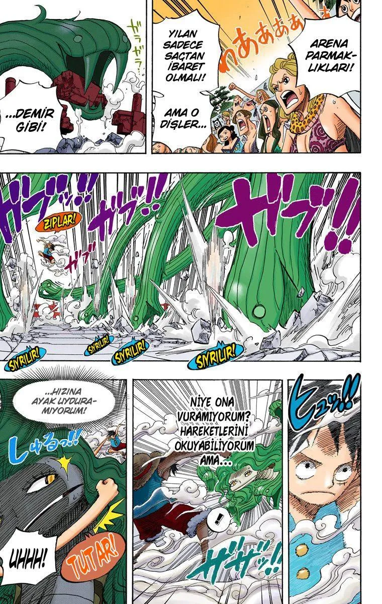 One Piece [Renkli] - Sayfa 5