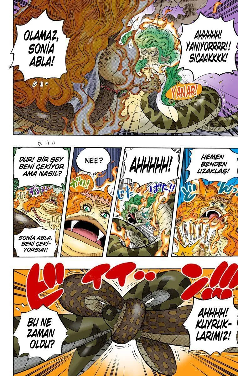 One Piece [Renkli] - Sayfa 13