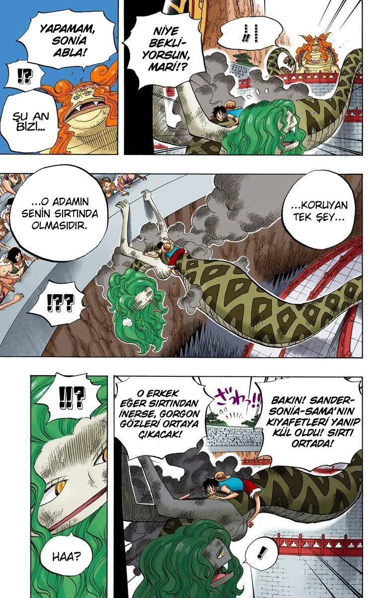 One Piece [Renkli] - Sayfa 16