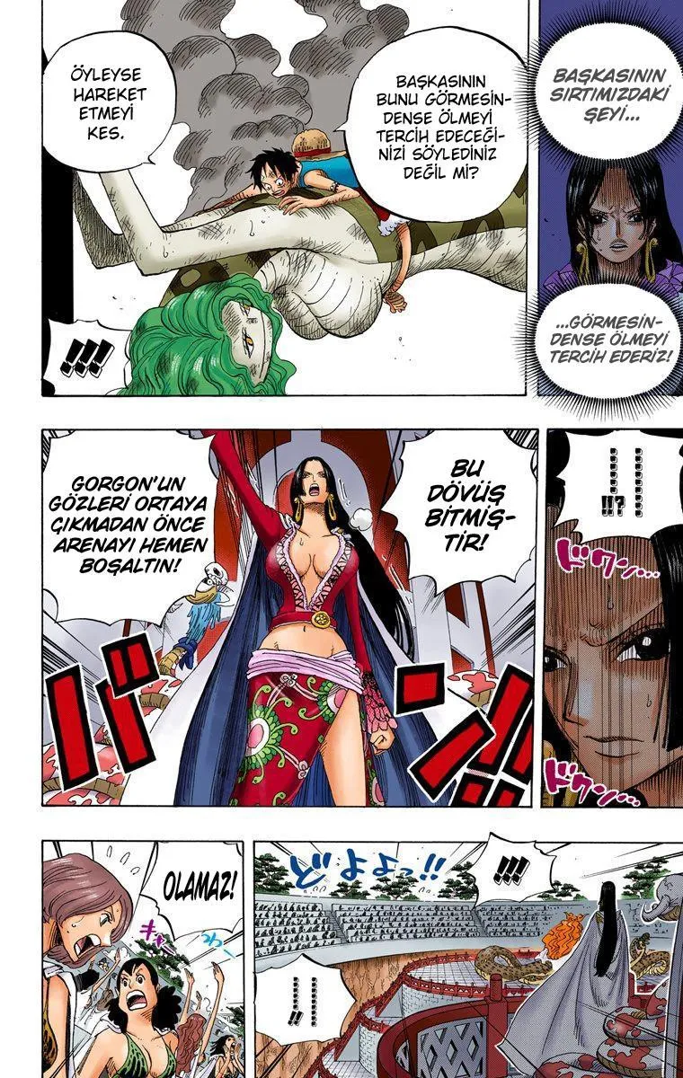 One Piece [Renkli] - Sayfa 17