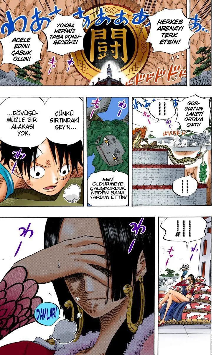 One Piece [Renkli] - Sayfa 18