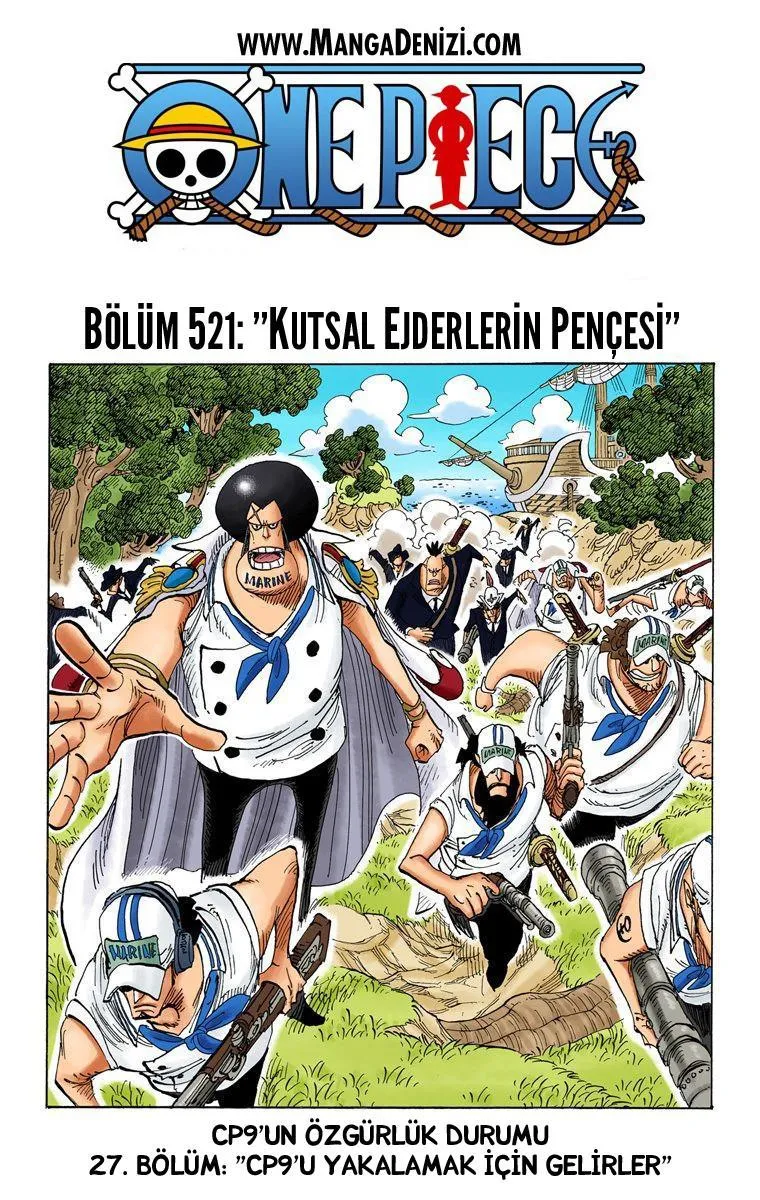 One Piece [Renkli] - Sayfa 2