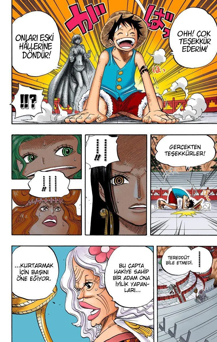 One Piece [Renkli] - Sayfa 5