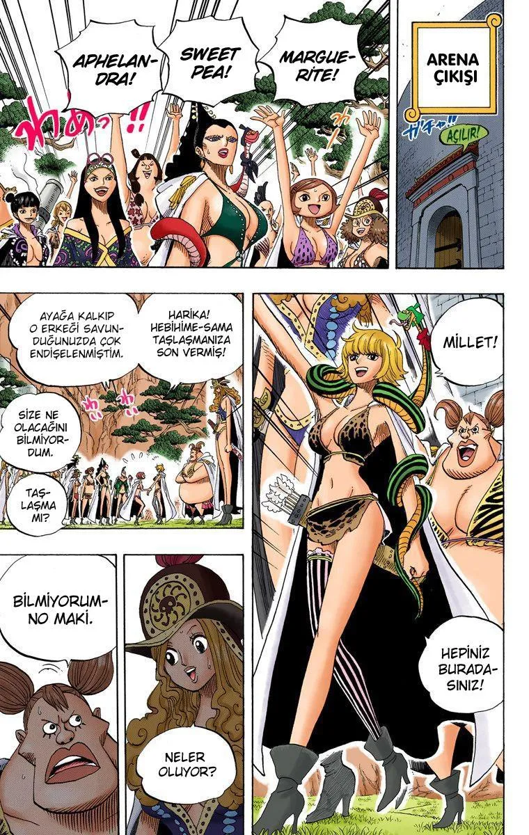 One Piece [Renkli] - Sayfa 6