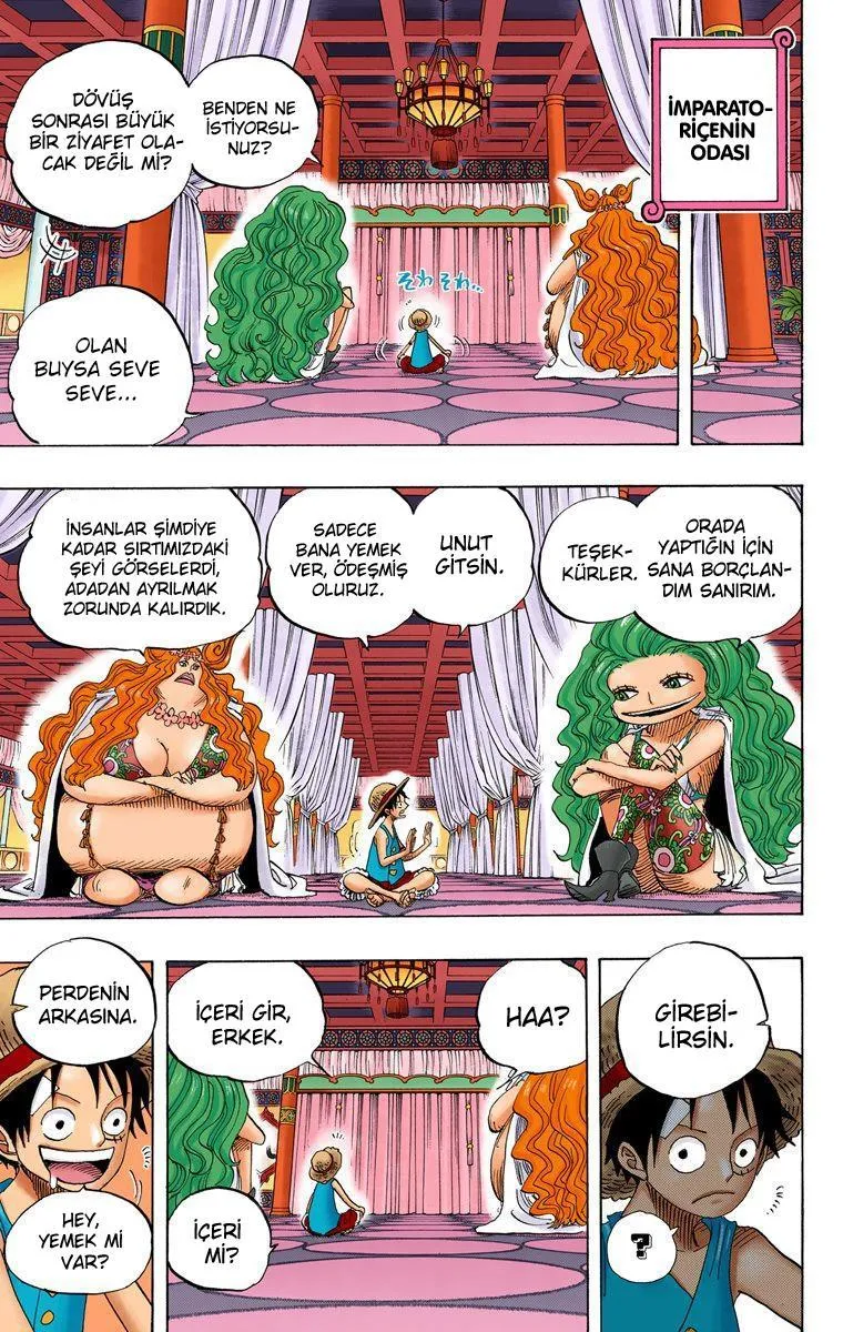 One Piece [Renkli] - Sayfa 8