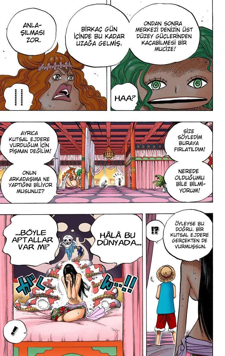 One Piece [Renkli] - Sayfa 12