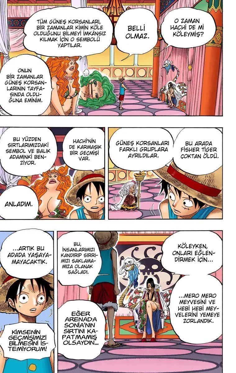 One Piece [Renkli] - Sayfa 18