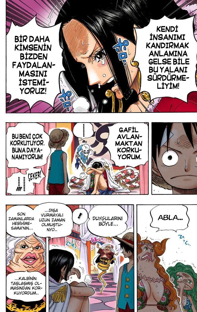 One Piece [Renkli] - Sayfa 19