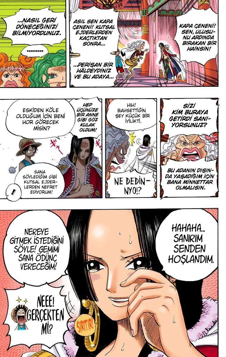One Piece [Renkli] - Sayfa 20