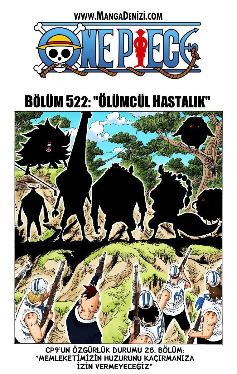 One Piece [Renkli] - Sayfa 2