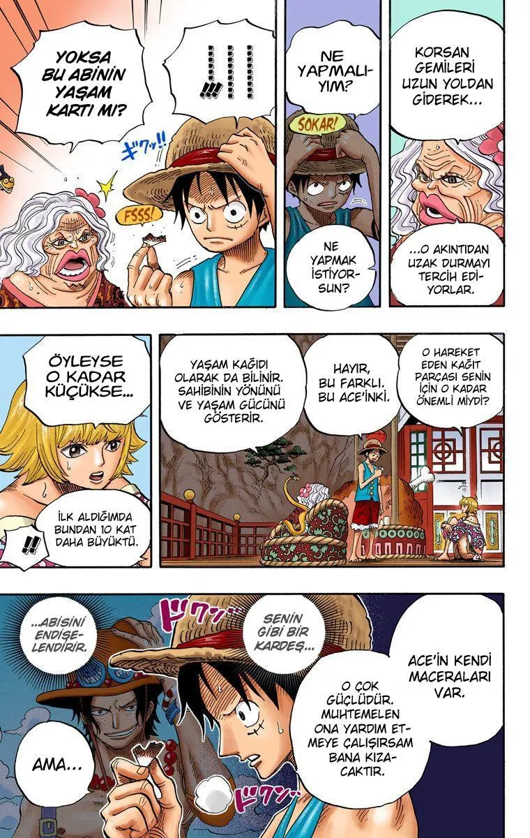 One Piece [Renkli] - Sayfa 12