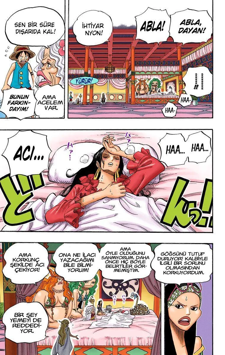 One Piece [Renkli] - Sayfa 16