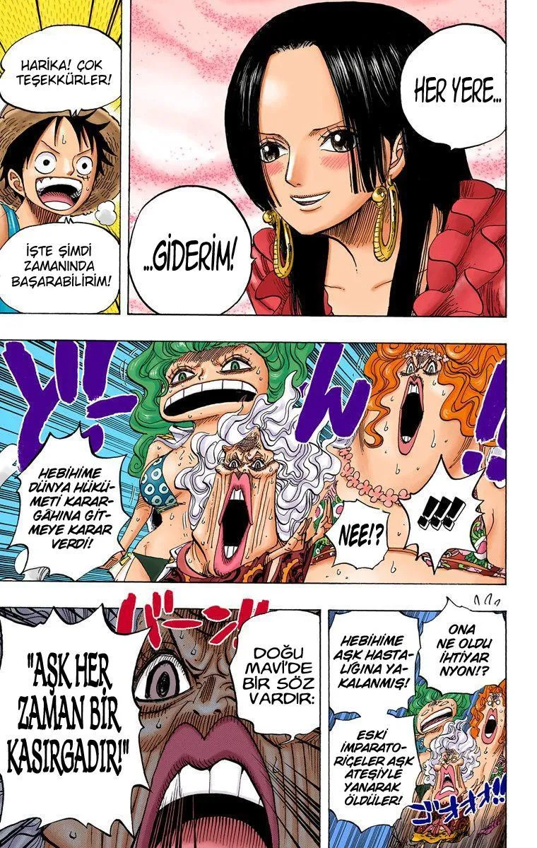 One Piece [Renkli] - Sayfa 20